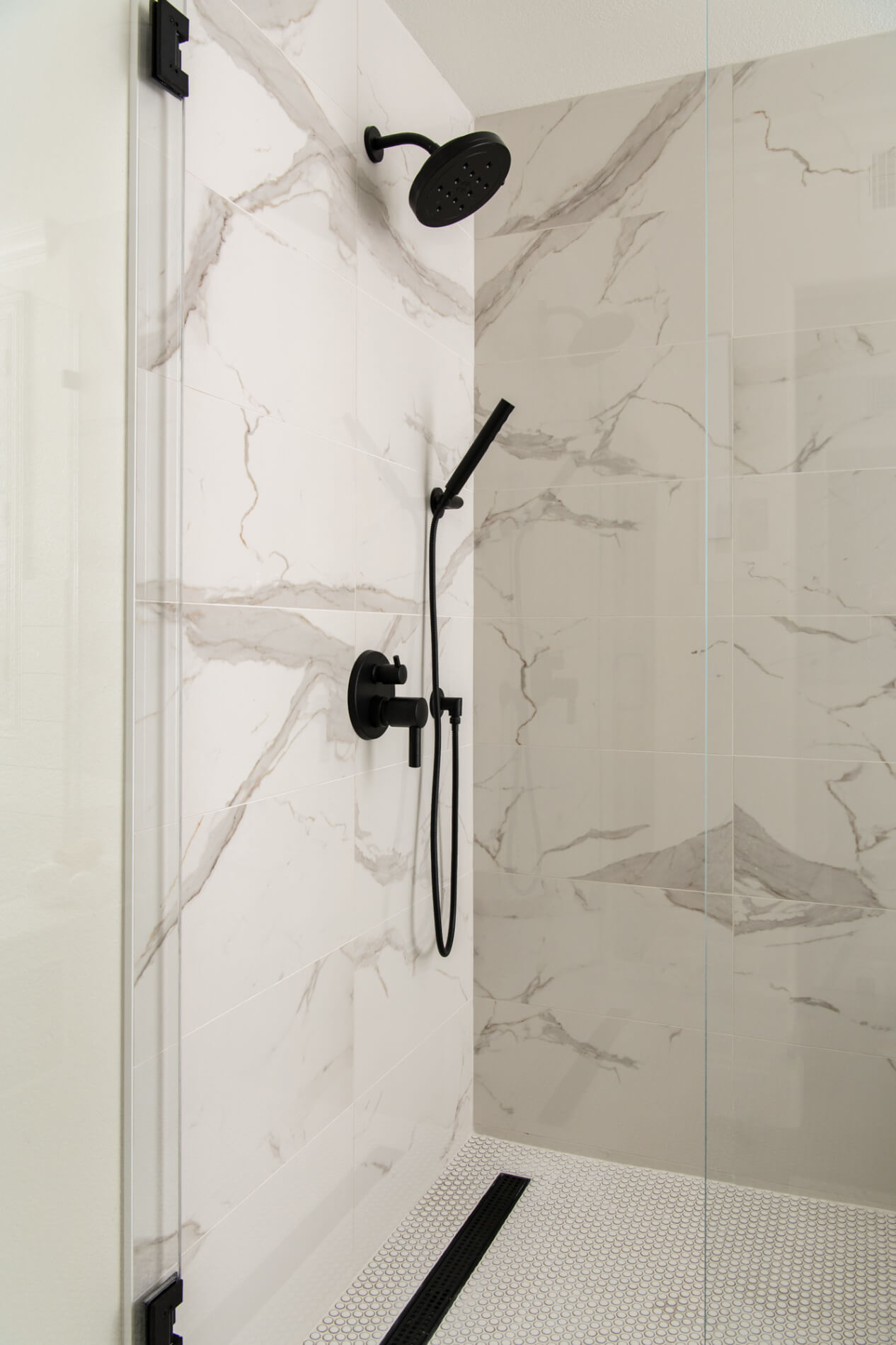 Hand Shower and stand