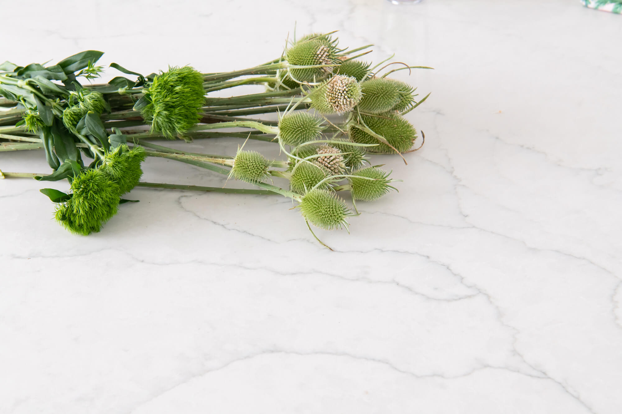 vadara-quartz-countertops-kitchen-remodel