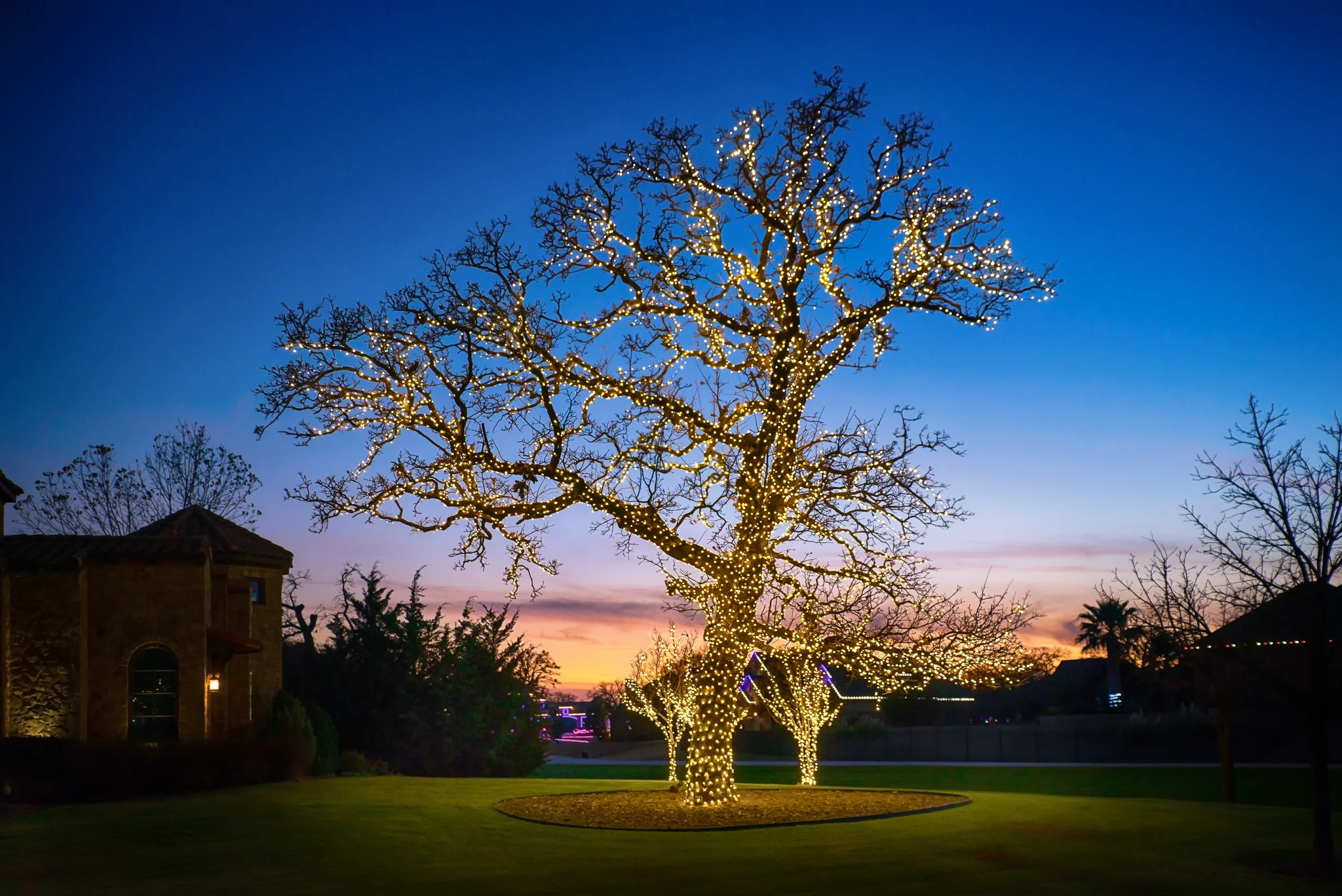 Music synchronized lights are a big hit in this year's holiday home lighting trends